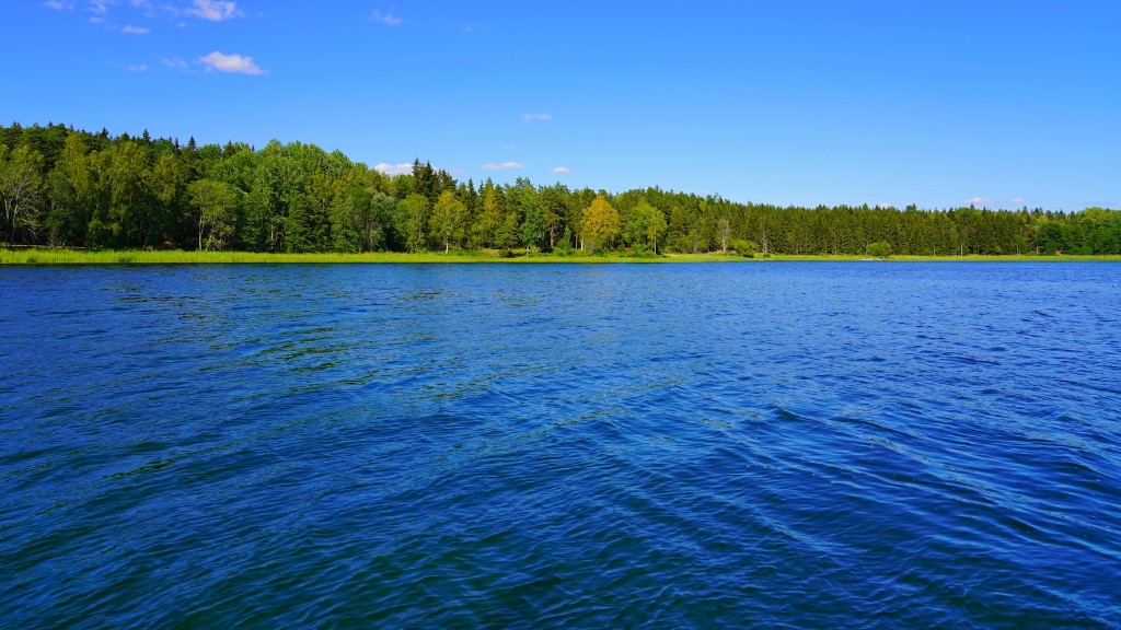 Why Dead Fish Lake Michigan